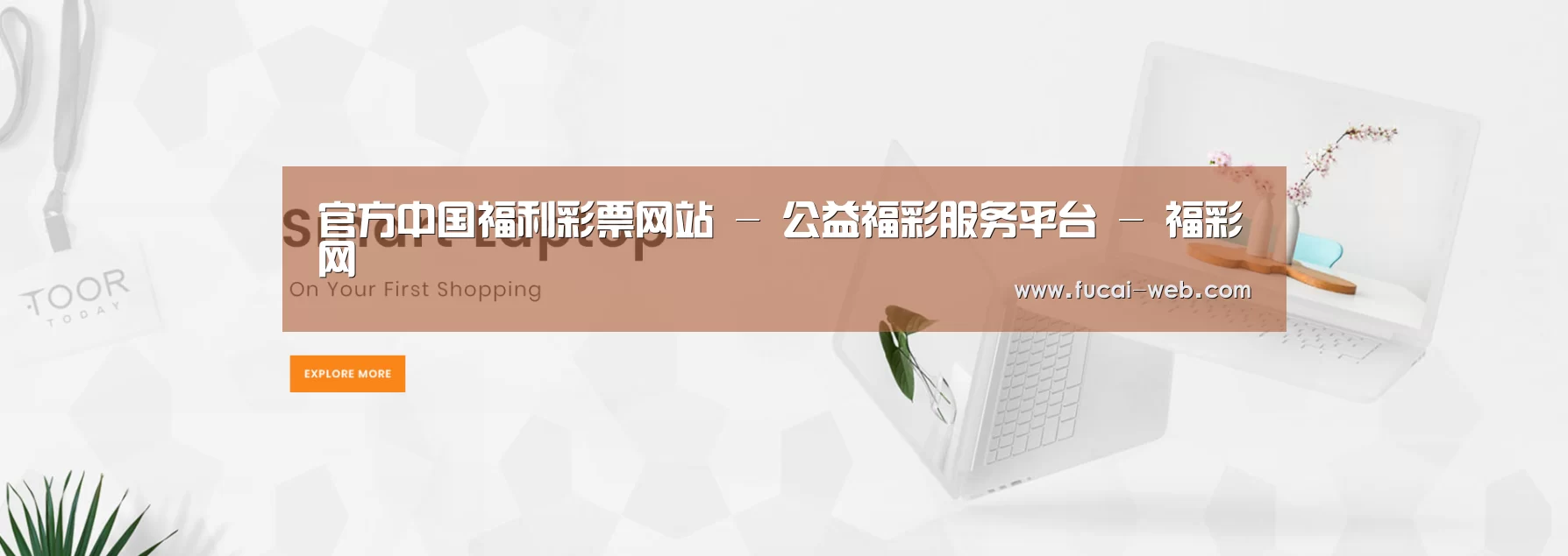 某某网络科技有限公司