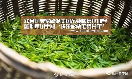 联合国专家敦促美国不要恢复水刑等酷刑审讯手段‘快乐彩票走势分析’(图2) 快乐彩票官网