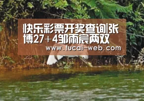 快乐彩票开奖查询|张博27+4邹雨宸两双 八一胜同曦终结主场4连败(图2) 快乐彩票官网