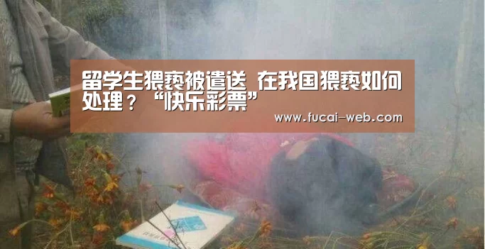 快乐彩票走势分析